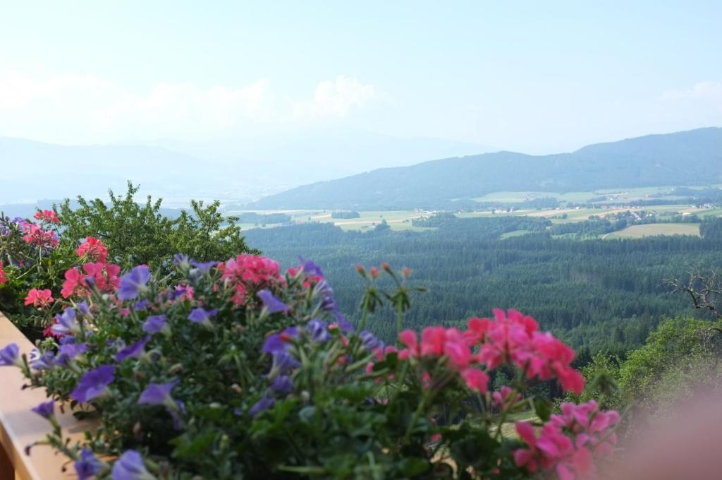 Farm stay Hochfelner-Prutti - Stockerhof *